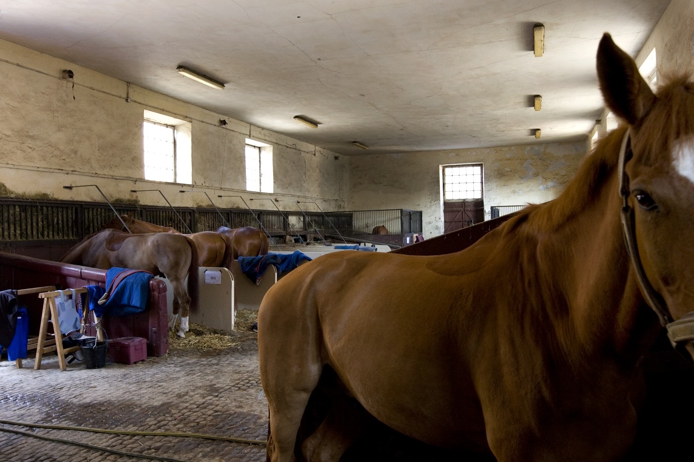 Hôtel Les Haras © Jouin Manku