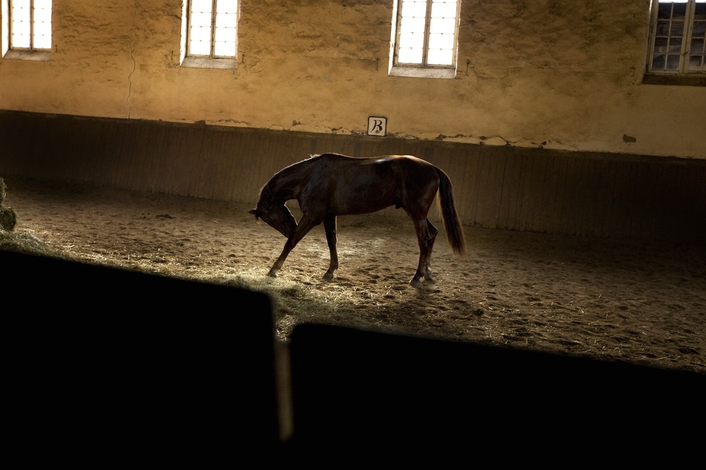 Hôtel Les Haras © Jouin Manku