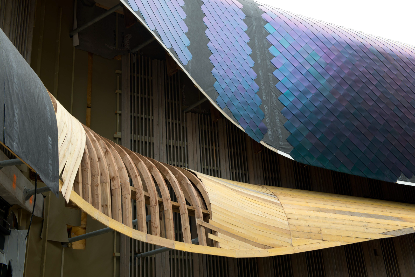 DSC_3468©Helene Hilaire