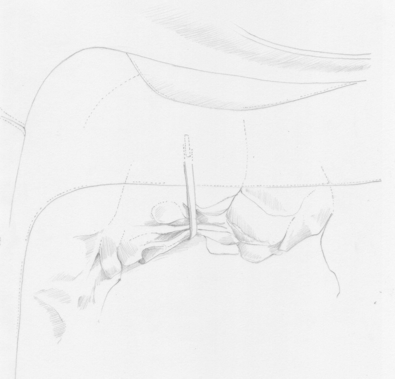 Mandarin Oriental Paris © Jouin Manku