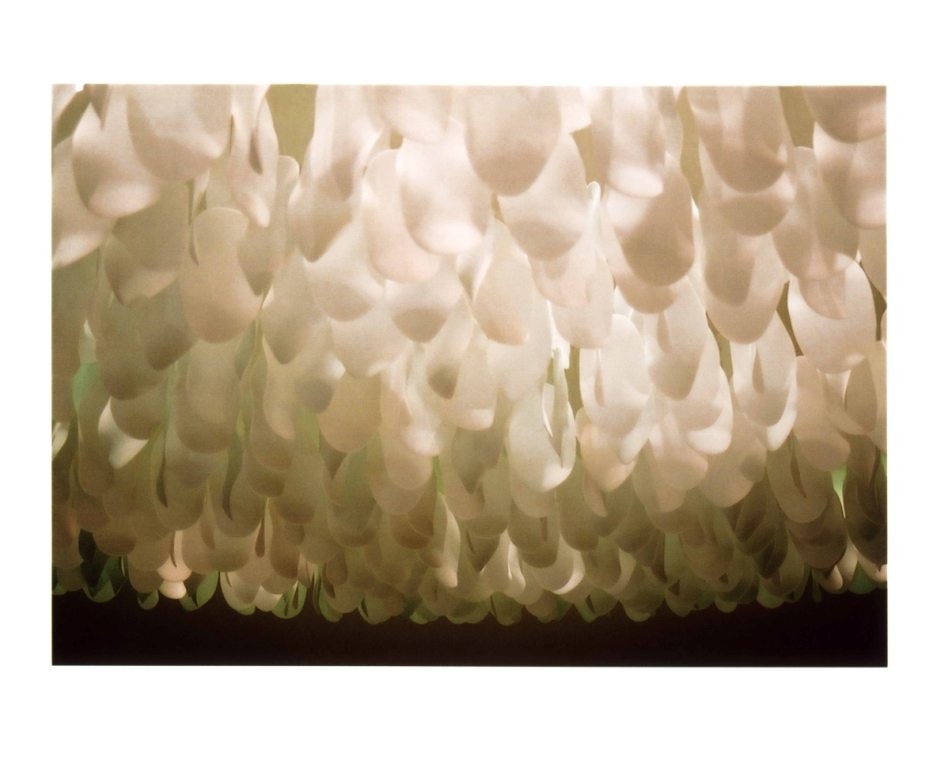 Inspirations © Sanjit Manku