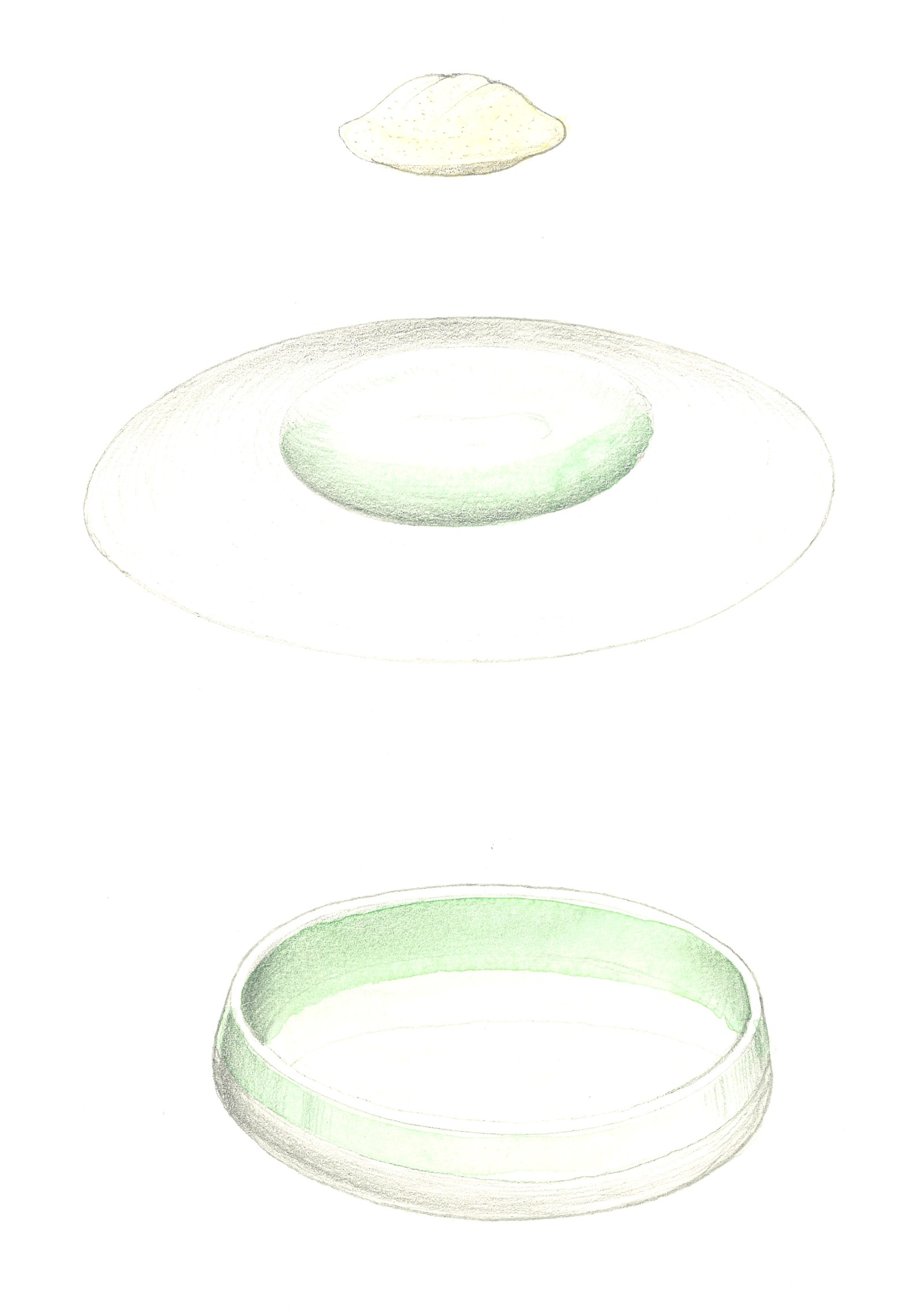 Ecuelle - Abbaye de Fontevraud © Jouin Manku