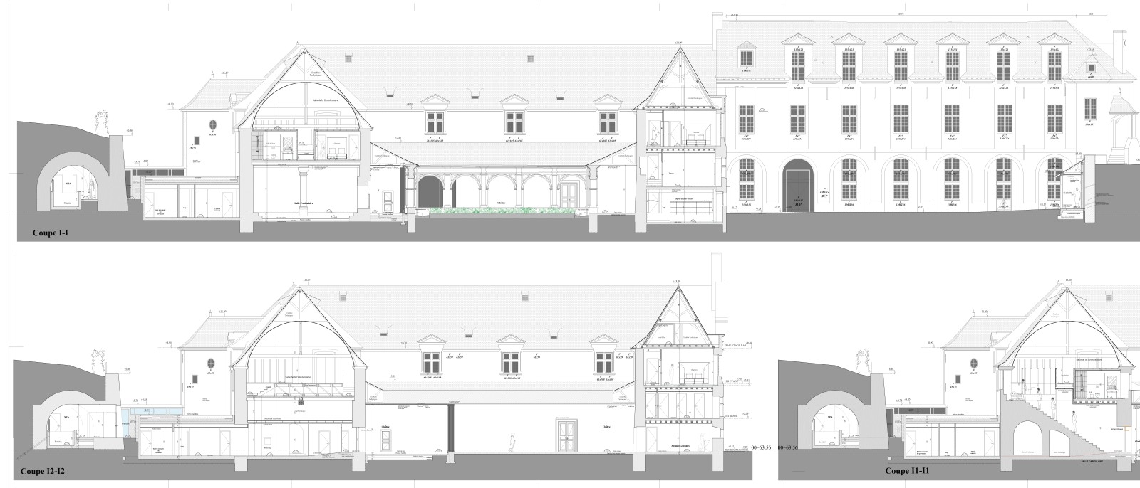 Coupe Abbaye de Fontevraud