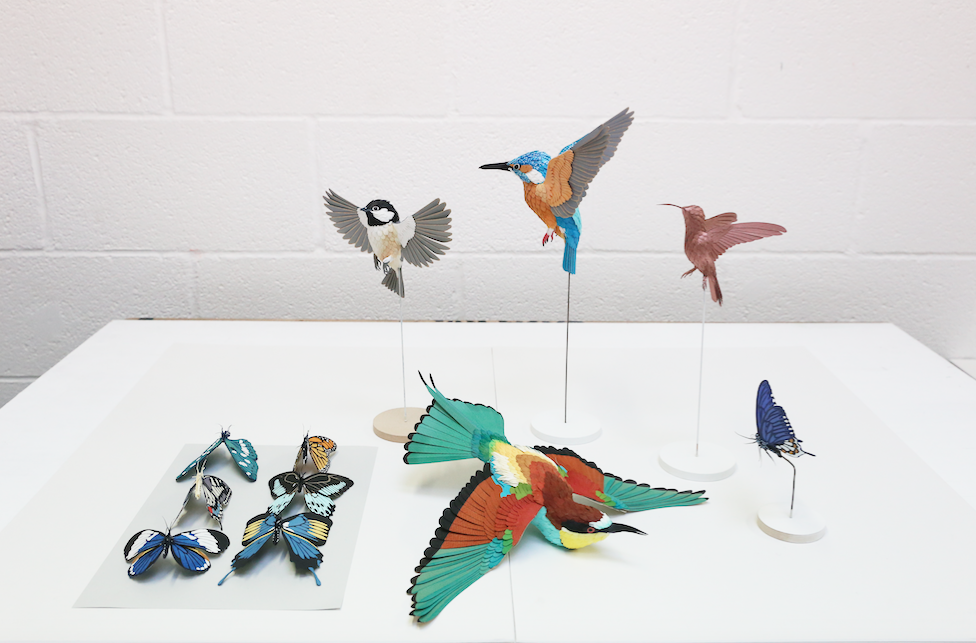 Auberge de l'Ill - Jouin Manku