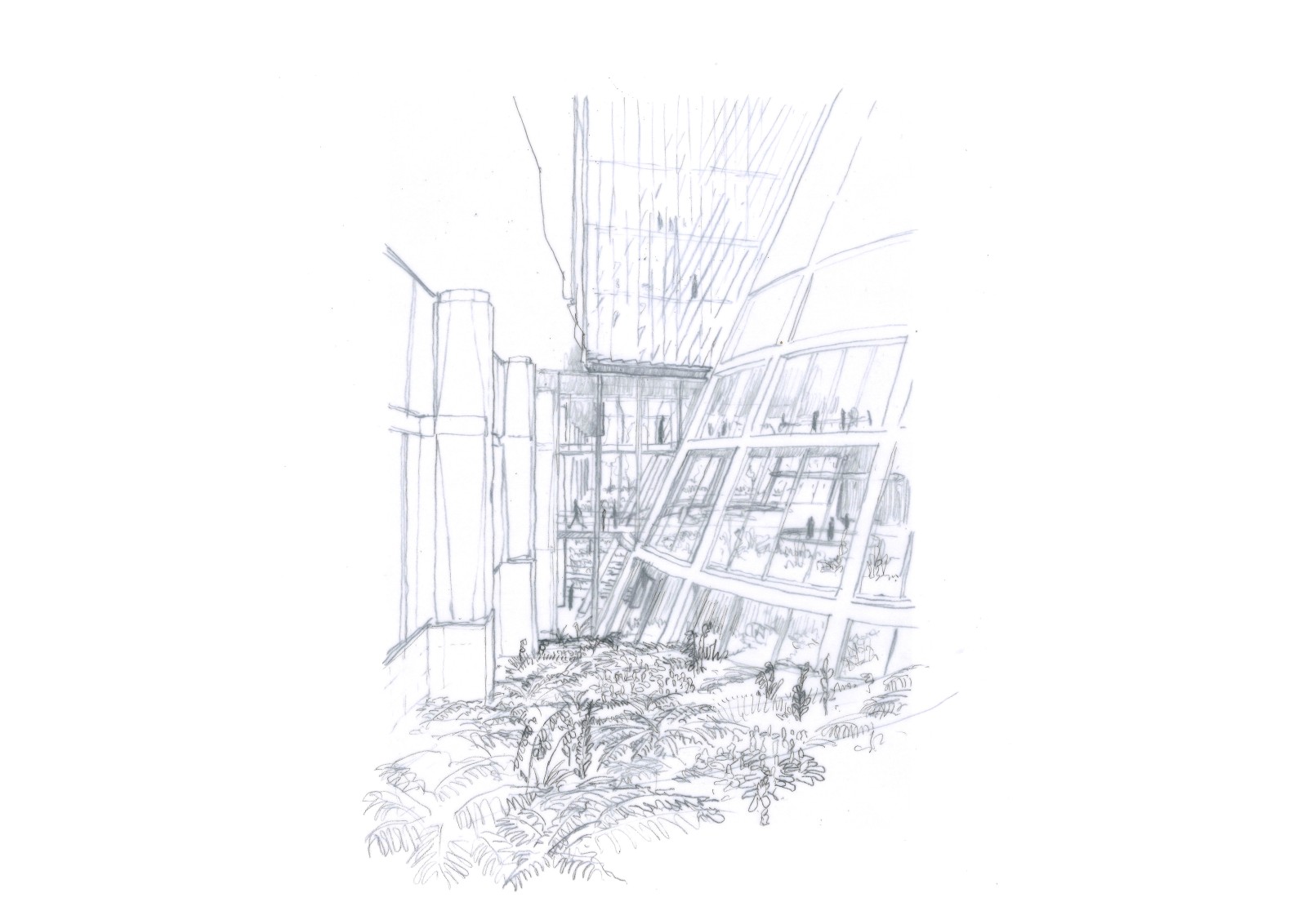 Biome - Jouin Manku - YMA - SFL