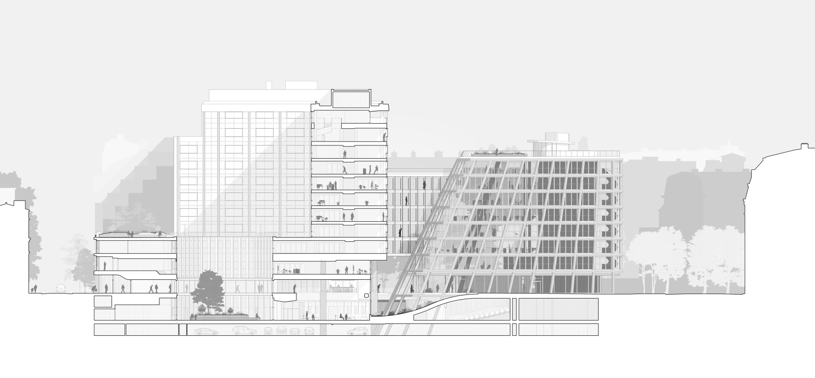 Coupe Biome © Jouin Manku