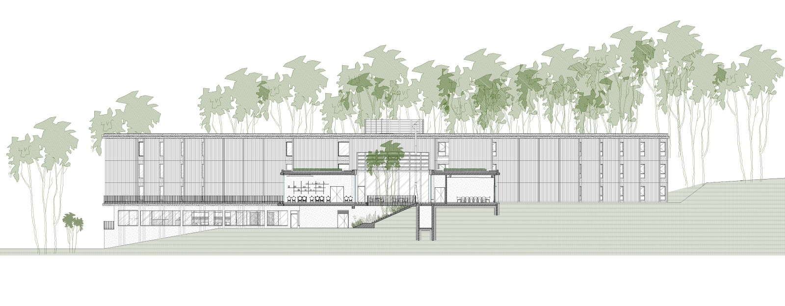 Elévation Patio 2 © Jouin Manku - SLA