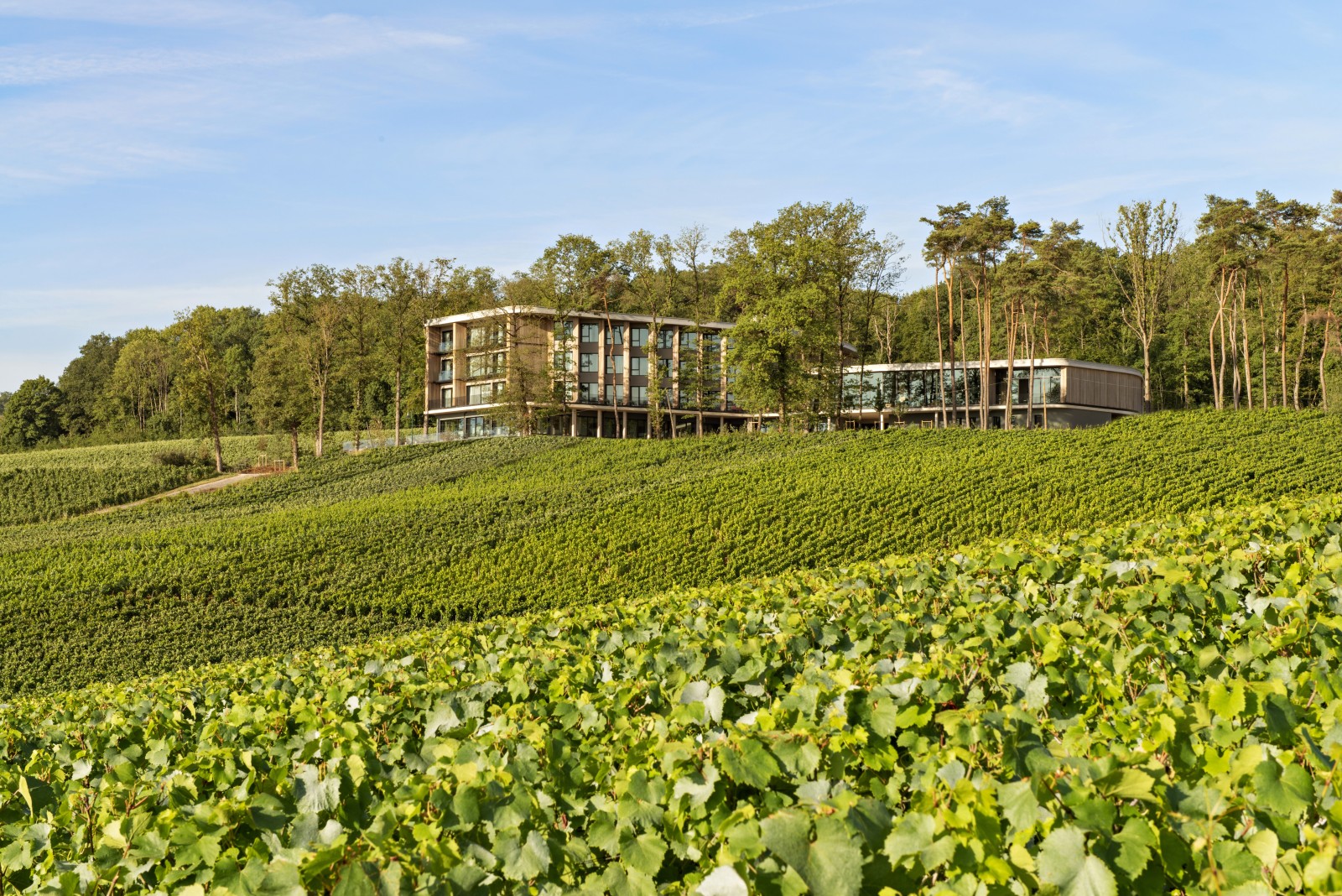 Mutigny Resort Hotel - Jouin Manku - Artec - SLA © Nicolas Matheus 2022