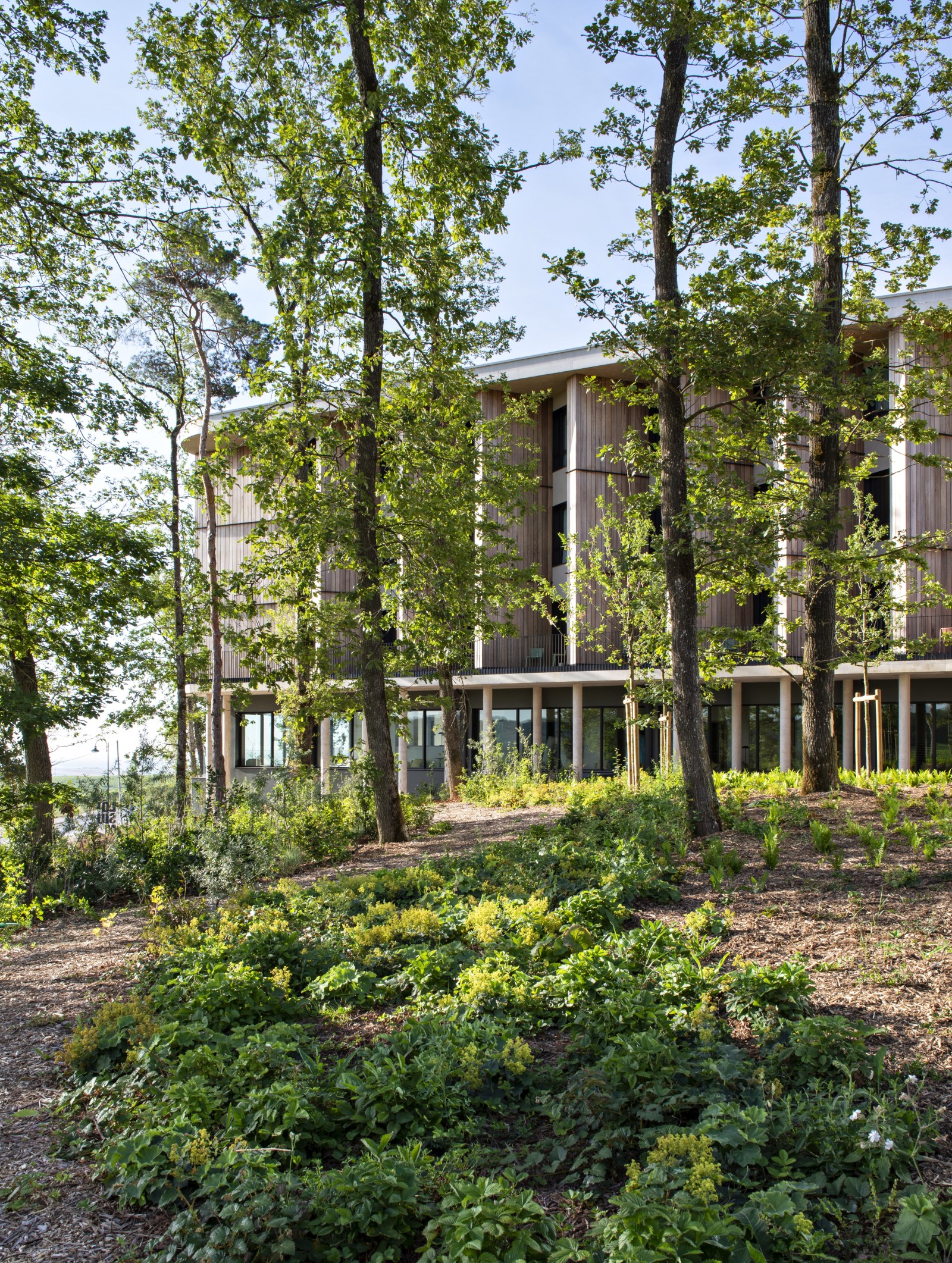 Mutigny Resort Hotel - Jouin Manku - Artec - SLA © Nicolas Matheus